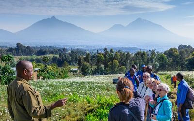 3 Days Rwanda Gorilla Trekking Safari