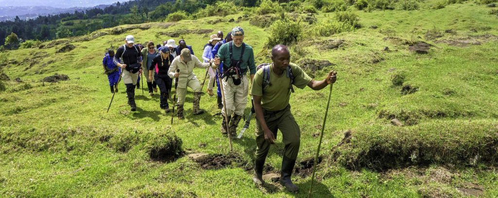 4 days Rwanda gorilla tour and Karisimbi Hike 