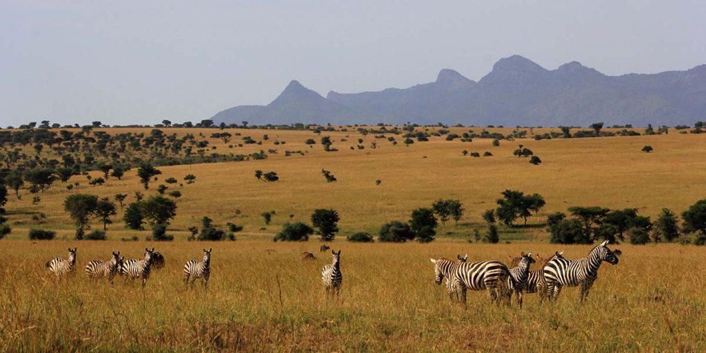 12 Bucket List Uganda Safari Activities | Top Things To Do In Uganda