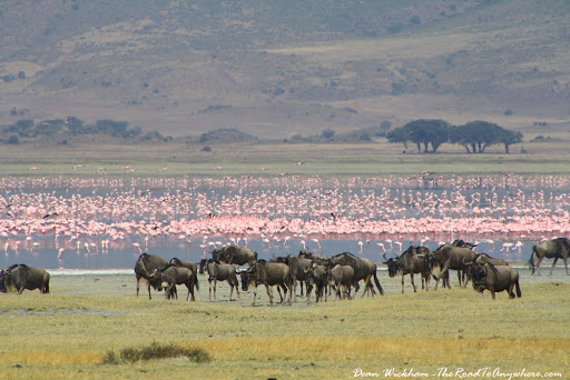 Combined 2 Weeks African Safari Tour in Uganda, Rwanda and Tanzania