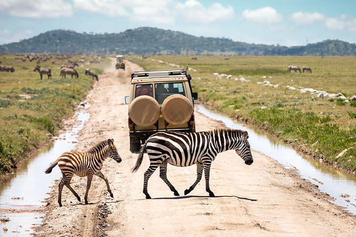 Affordable African Safari Tours | Unmissable Africa Wildlife Safari Vacations