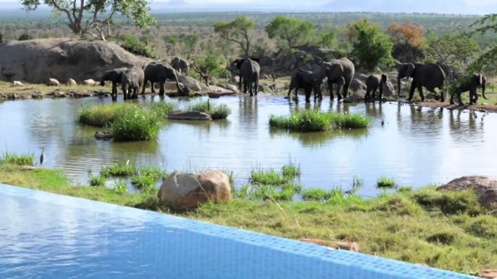 Luxury Uganda and Tanzania Safari-11 Days