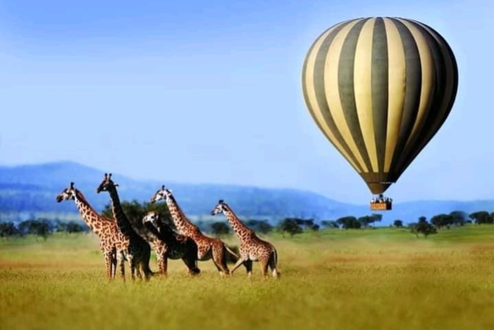 8 Days Tanzania Safari and Zanzibar Holiday (Private Tour)