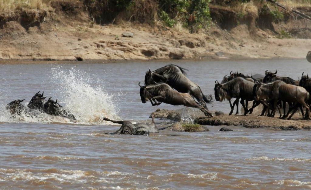 3 Days Serengeti Wildebeest Migration Safari | A Fly-In & Fly-Out Package