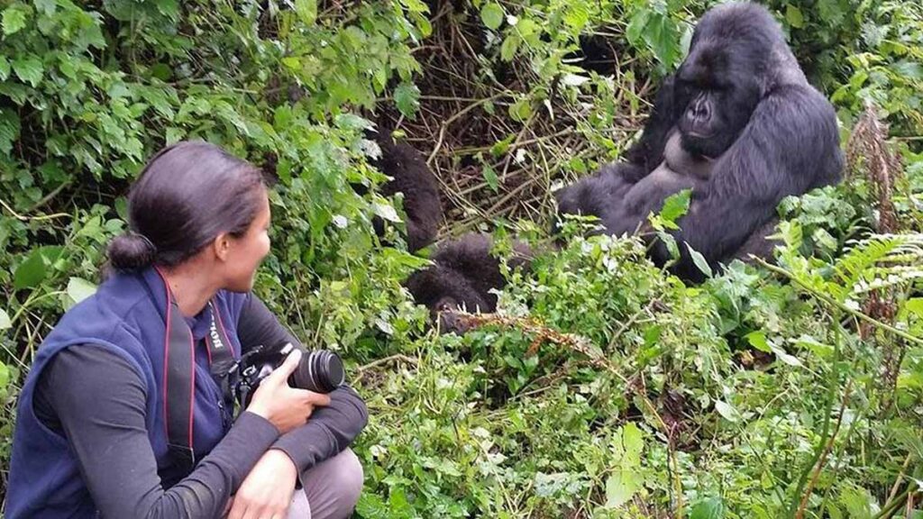 Budget Uganda Gorilla Safaris-Cheap Gorilla Trekking Packages 2024/25