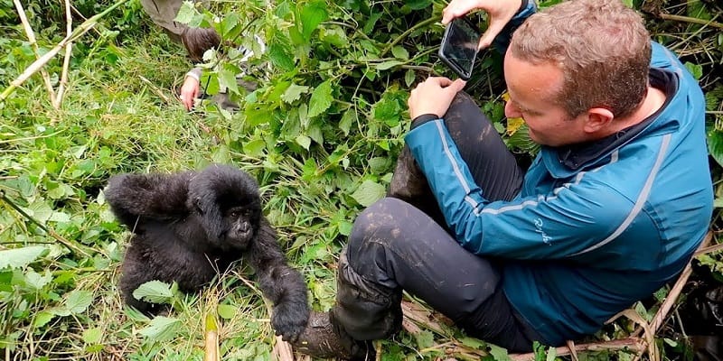 How Long Is The Gorilla Trek in Uganda?