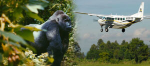 uganda safari holiday packages