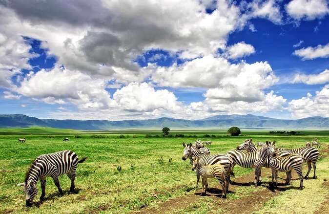 Ngorongoro conservation area