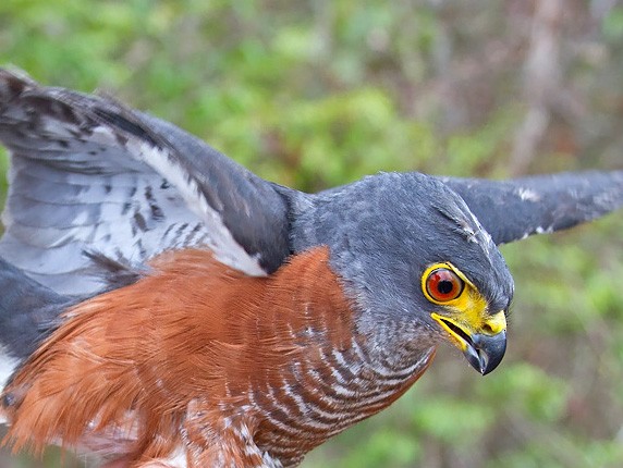 Semuliki National Park