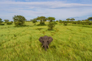 uganda safari holiday packages