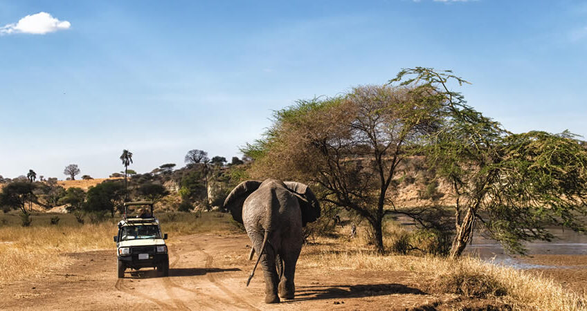 serengeti and ngorongoro crater safari