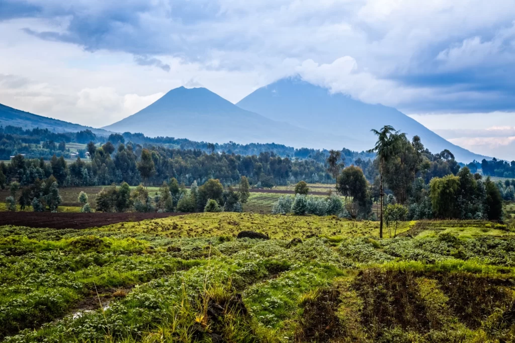 Virunga National Park