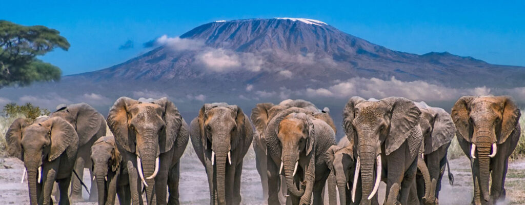 Mountain Kilimanjaro National Park