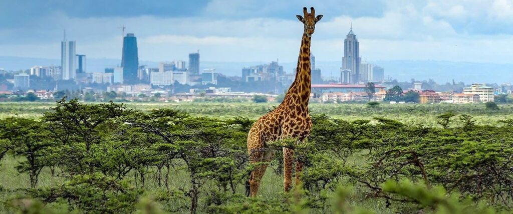 Nairobi National Park