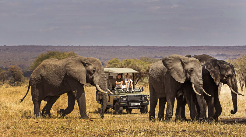 Tarangire national park