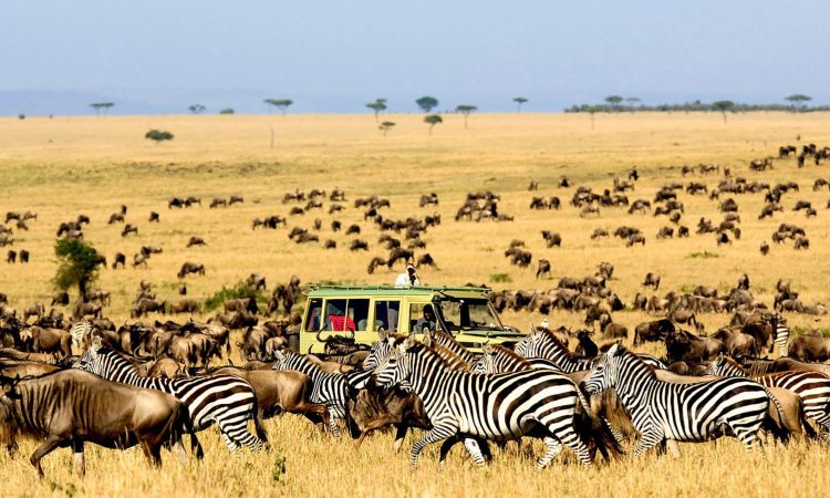 3 Really Amazing Things To Do In Tanzania By local experts