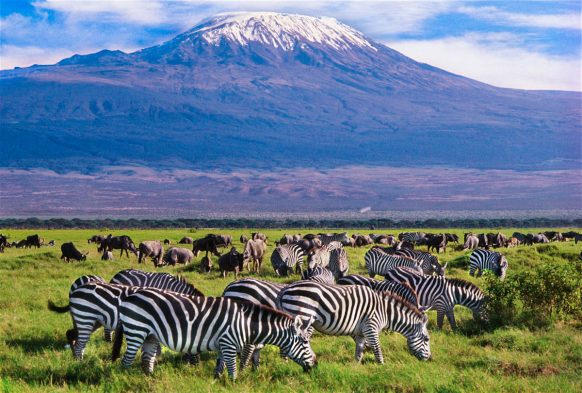 3 Days Amboseli National Park Safari