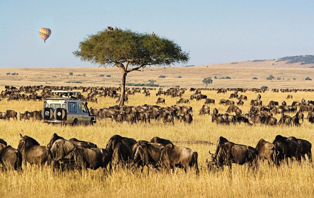 7 Days Kenya Budget Wildlife Safari