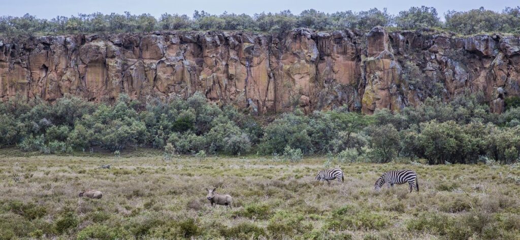 Kenya Uganda and Tanzania safari Holiday Package (28 Days)