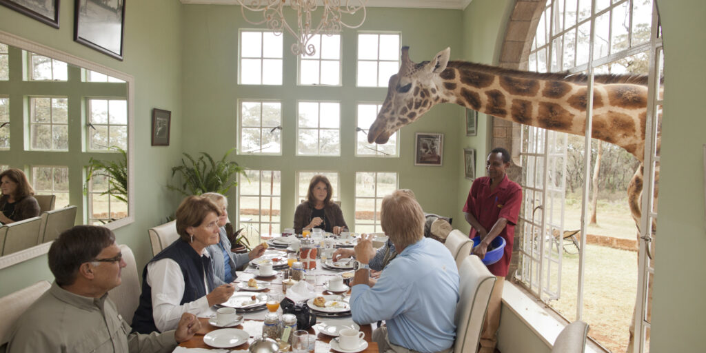 Luxury Uganda Kenya Tanzania Safari | Gorillas & Great Migration