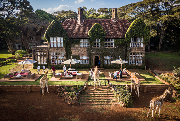 Exclusive Luxury Kenya Safari and Uganda Gorillas Vacation 