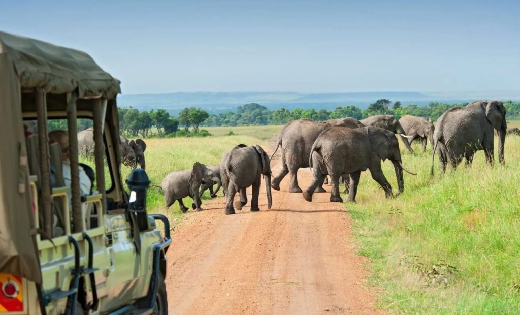 14-Day Ultimate Uganda Mammal Watching Tour & Wildlife safari