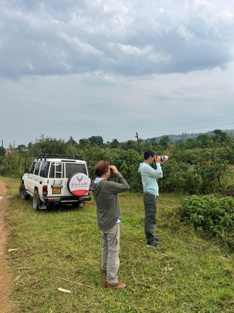 Affordable Africa Safari Birthday Celebration Vacation Package