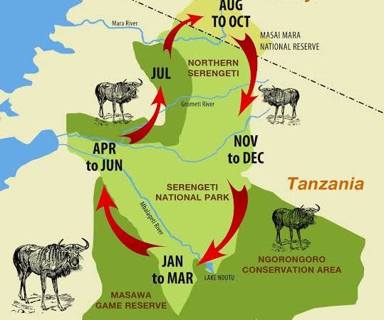 Best Guide To Combining Masai Mara and Serengeti Safari Tours
